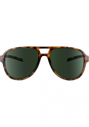 TSG - Sunglasses Cruise brown